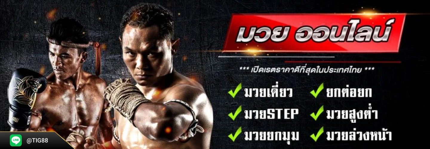 ไทเกอร์สล็อต88